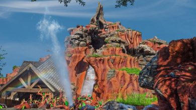 Foto de Splash da Disney fecha por aproximadamente 2 meses
