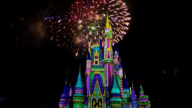 Foto de Show de fogos de Natal da Disney