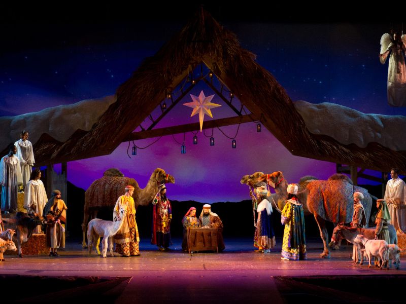 Wondrous Night