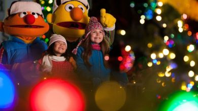 Foto de Novo desfile na celebração de Natal do SeaWorld Orlando em 2019