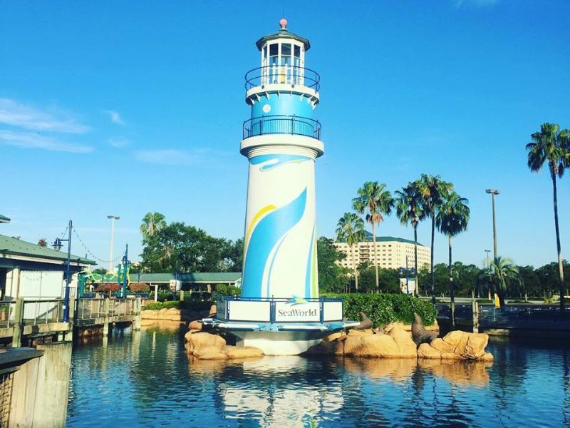 Parque da Shamu