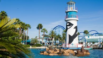 Foto de Estacionamento do SeaWorld