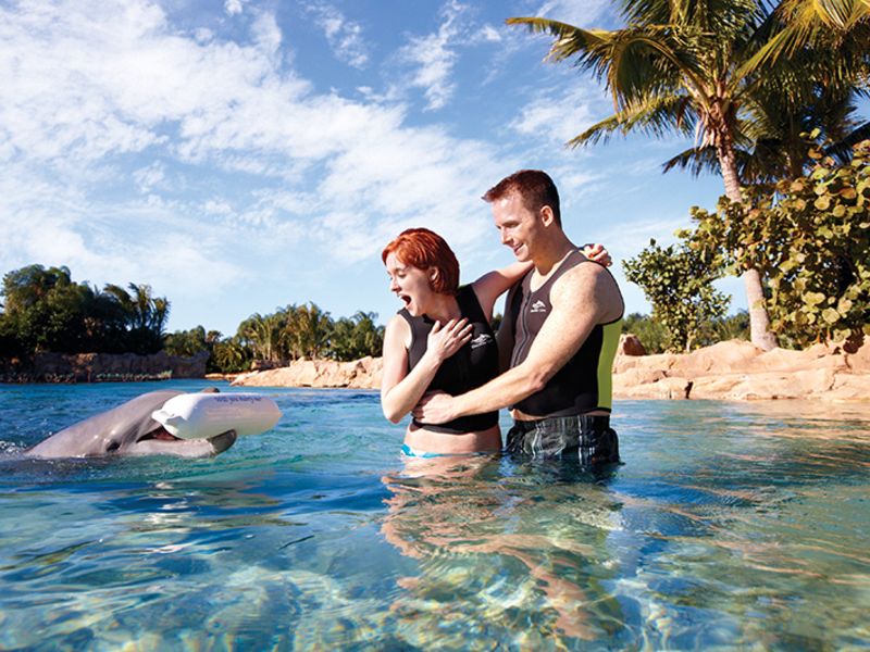 Discovery Cove