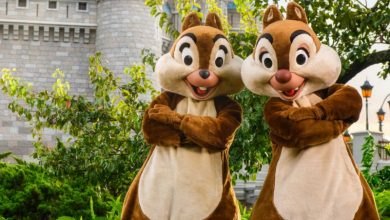 Foto de Disney prorroga o fechamento por tempo indeterminado