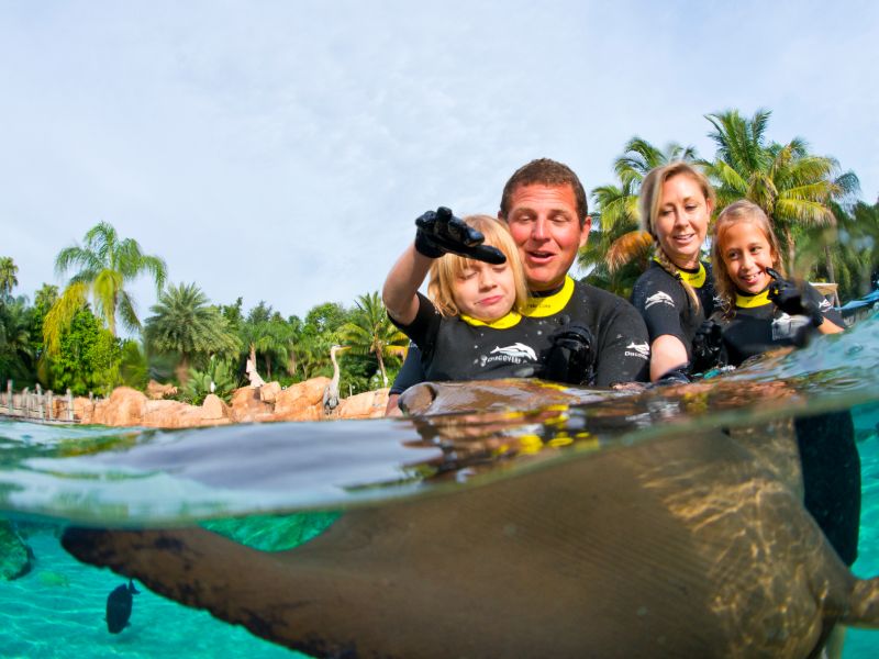 Discovery Cove