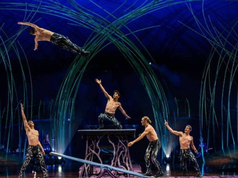 Cirque du Soleil
