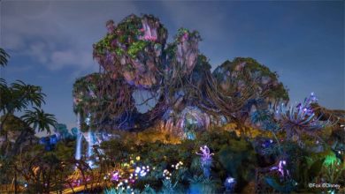 Foto de Disney solta vídeos com momentos zen para inspirar e acalmar quem está em casa!