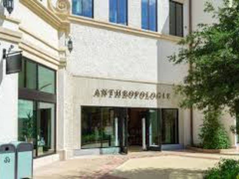 Anthropologie