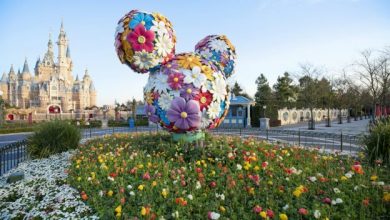 Foto de Disneyland Xangai está aberta!