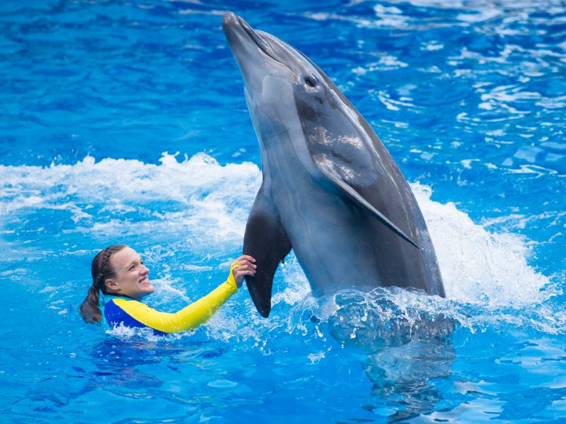 SeaWorld