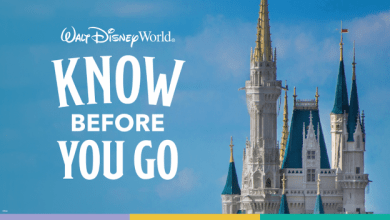 Foto de Disney Park Pass: Como fazer suas reservas no novo sistema da Disney?