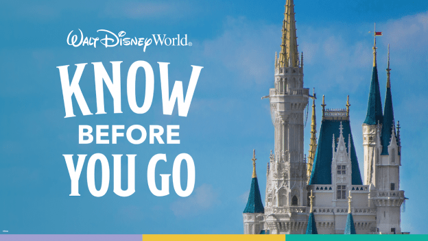 Disney Park Pass
