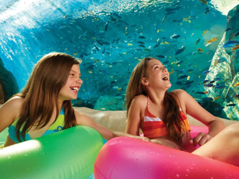 Aquatica