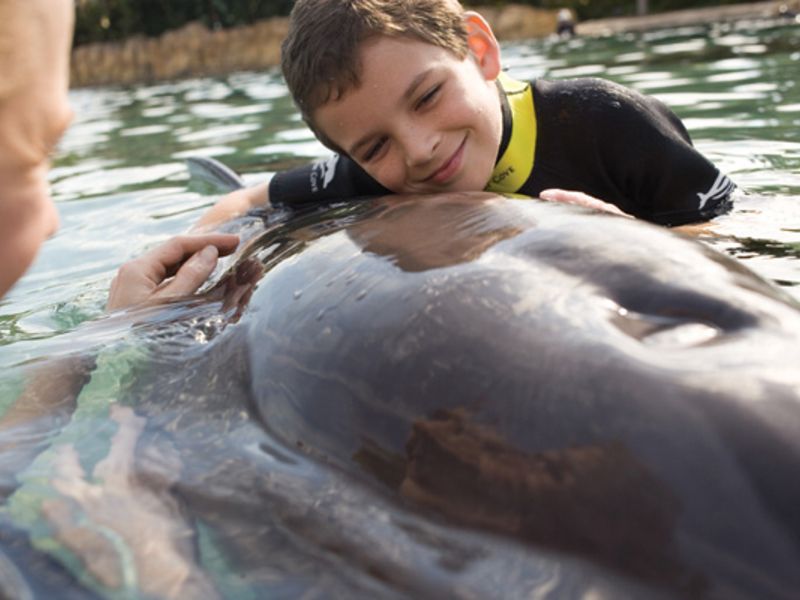 Discovery Cove