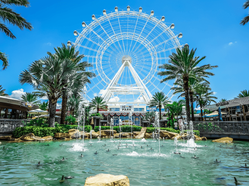 The Wheel