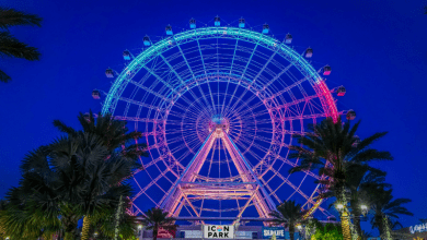 Foto de The Wheel já está aberta no ICON Park