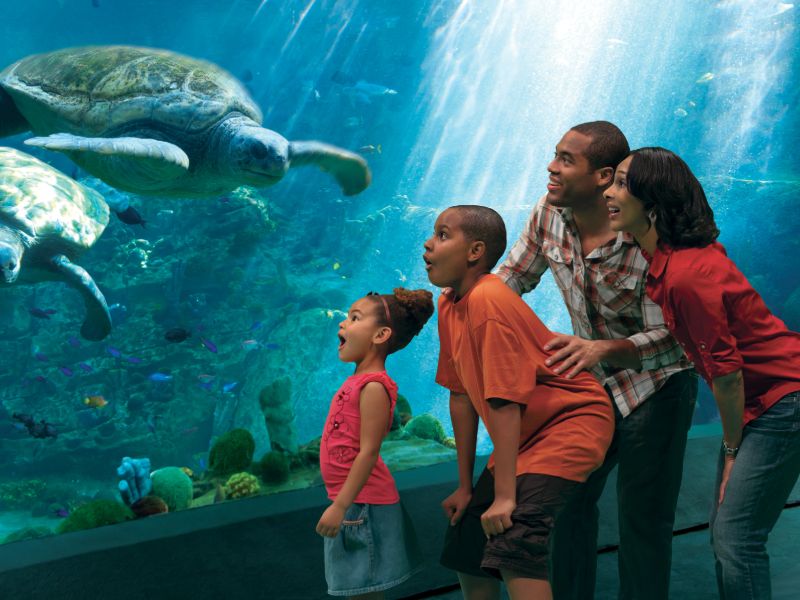 SeaWorld Orlando