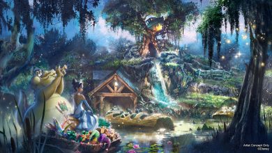 Foto de Splash Mountain será reformada para adicionar a história de A Princesa e o Sapo