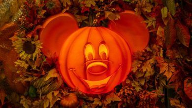 Foto de Halloween diferente na Disney