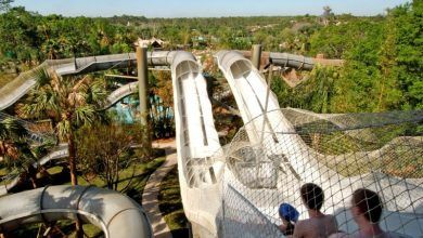 Foto de Disney planeja reabrir um dos seus parques aquáticos no início de 2021