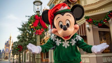 Foto de Natal na Disney em 2020