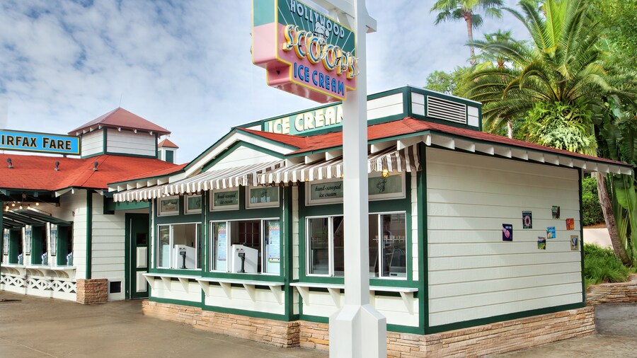 Hollywood Scoops