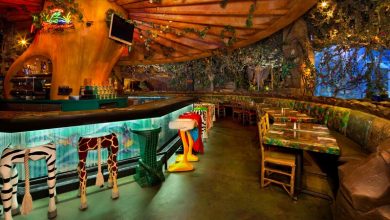 Foto de 19 Restaurantes abertos no Animal Kingdom