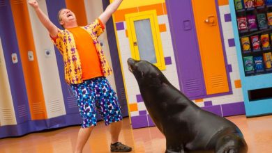 Foto de Como reservar o dia de visita ao SeaWorld