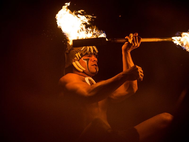 Festival of the Lion King