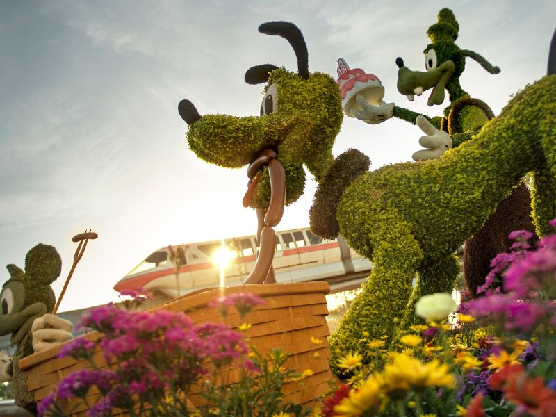 Epcot International Festival of Flowers 2021