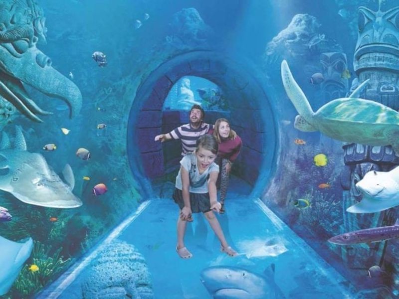 SEA LIFE