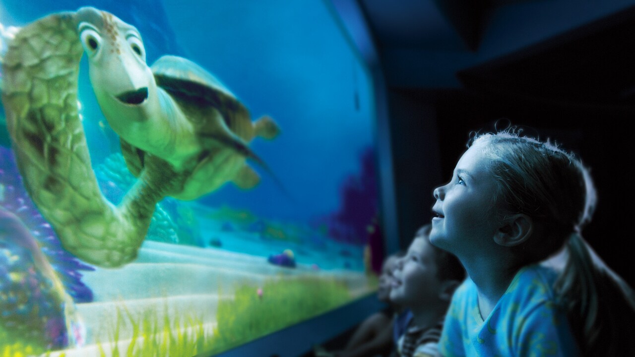 Turtle Talk with Crush