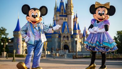 Foto de Aniversário de 50 anos da Disney