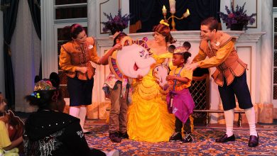 Foto de 7 Atrações com princesas na Disney