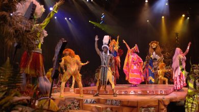 Foto de Show do Rei Leão já tem data para reabertura na Disney