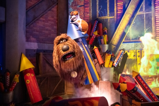 The Secret Life of Pets