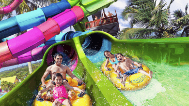 Foto de Aquatica Orlando inaugura o primeiro toboágua de duelo da Flórida