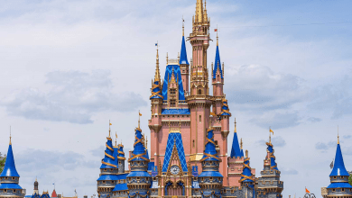Foto de Castelo da Cinderela ganha decoração para os 50 anos da Disney