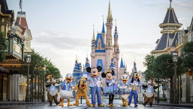 Foto de Novos shows de fogos na Disney