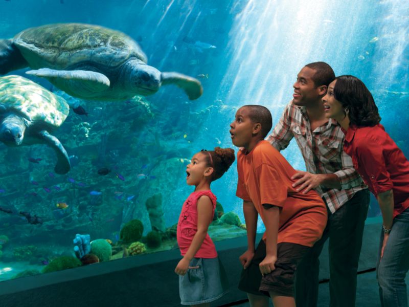 SeaWorld