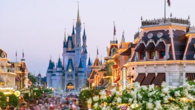 Foto de Disney elimina o uso das máscaras