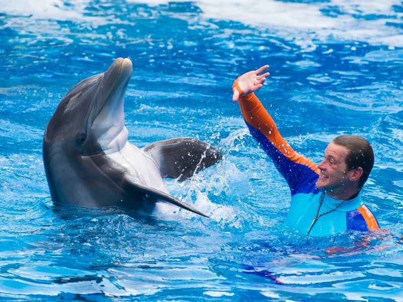 Parque SeaWorld