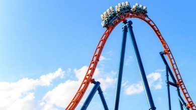 Foto de Nova montanha-russa do SeaWorld abre em 2022