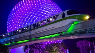 Foto de Como será a reabertura dos transportes Disney?