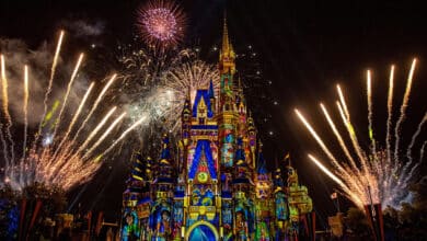 Foto de Agendamento Disney: ainda é preciso reservar os dias de visita?