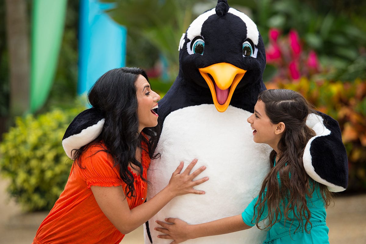 Meet Shamu & Crew © 2025 united parks & resorts