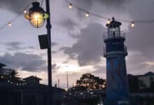 Foto de Coasters After Dark está de volta no SeaWorld em 2025