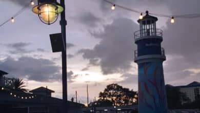 Foto de Coasters After Dark está de volta no SeaWorld em 2025