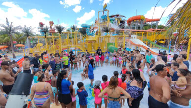 Foto de Thermas Folia 2025 Continua