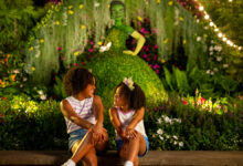 Foto de EPCOT International Flower & Garden Festival de 2025
